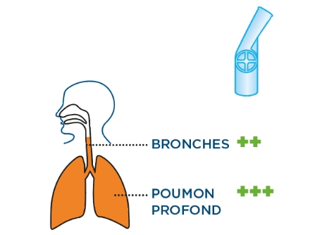 Embout buccal